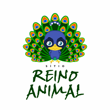 reino animal