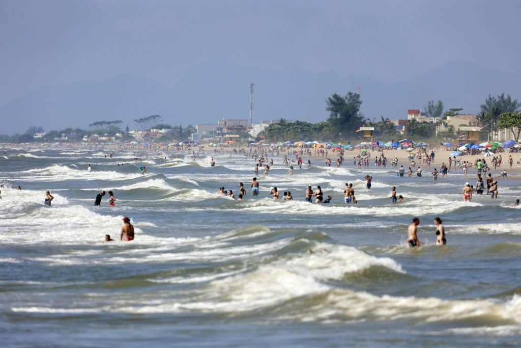 Litoral do Paraná registra mais de 2.400 ocorrências com águas-vivas e caravelas