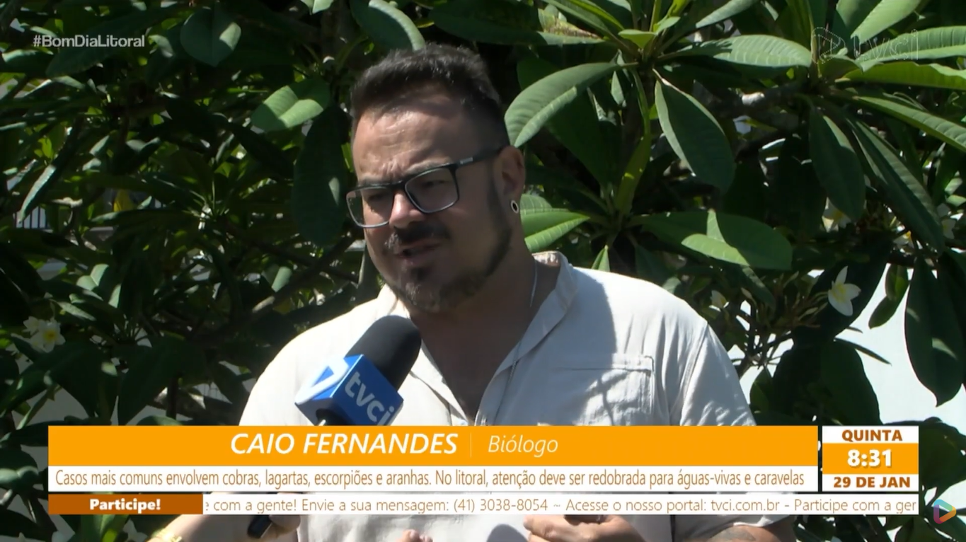 Acidentes com animais peçonhentos aumentam no Paraná
