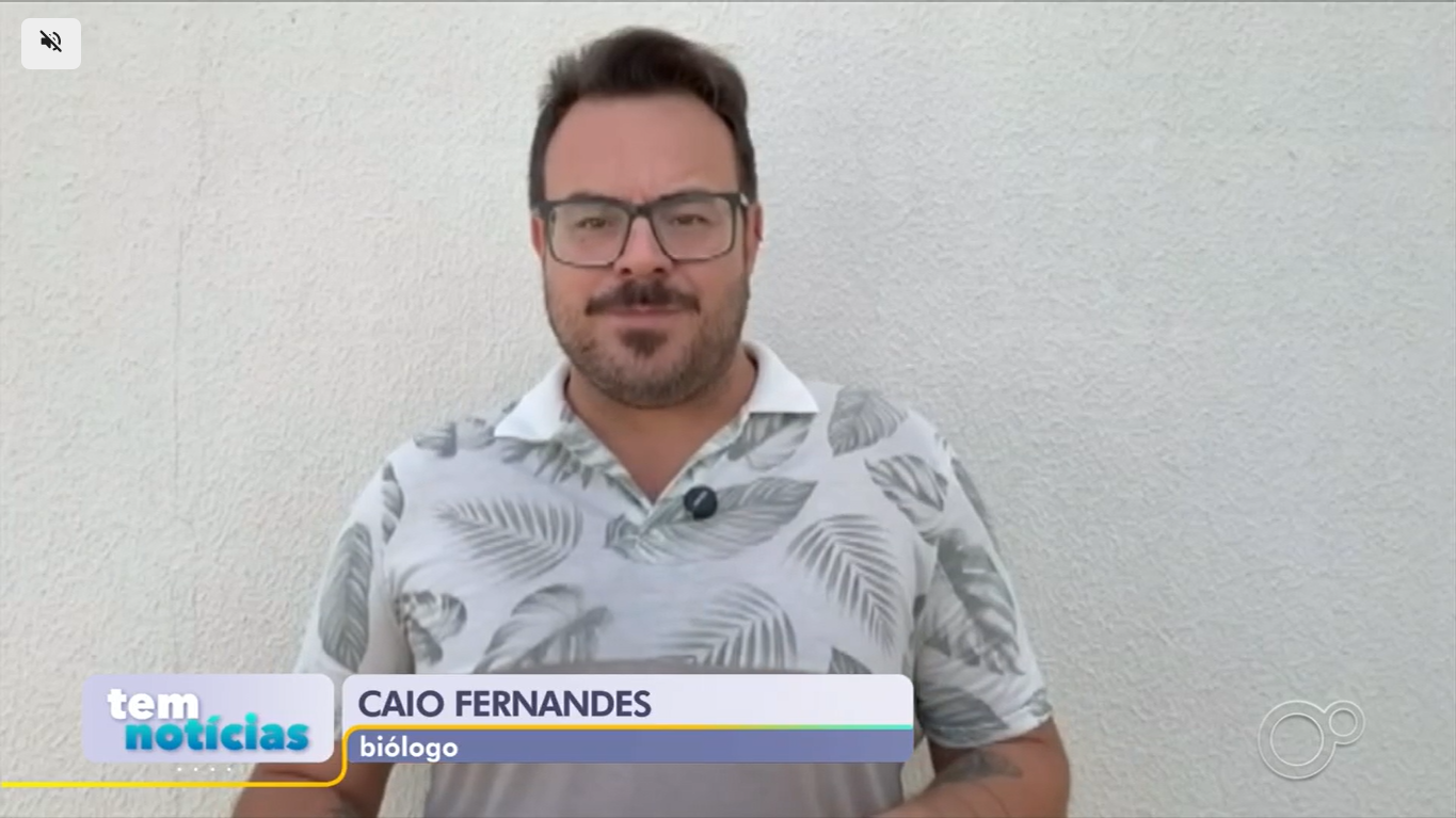 Participação em reportagem da Globo