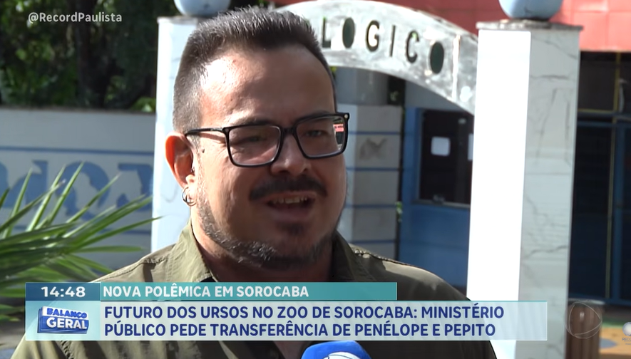 Futuro dos ursos do Zoo de Sorocaba: MP pede transferência para Santuário