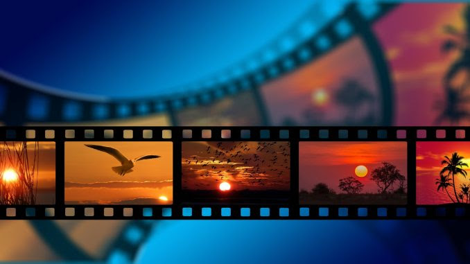 Cinemateca do mês global do Meio ambiente: conheça a cultura pop audiovisual da sustentabilidade