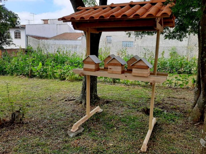 Instituto Raiz Nova elege agroflorestas urbanas e abelhas sem ferrão para combater a fome e promover educação ambiental