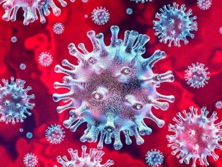 Saneamento importa? Uma Análise da Relação entre Condições Sanitárias e COVID-19 nas Capitais Brasileiras.