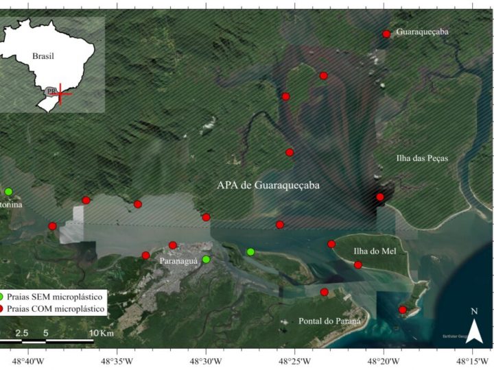 Microplástico Presente em 16 Praias Estuarinas do Litoral Paranaense