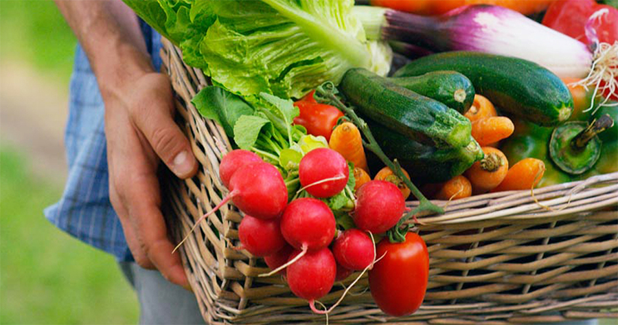 Startup Conecta Agricultores Familiares e Mercado Comprador de Alimentos