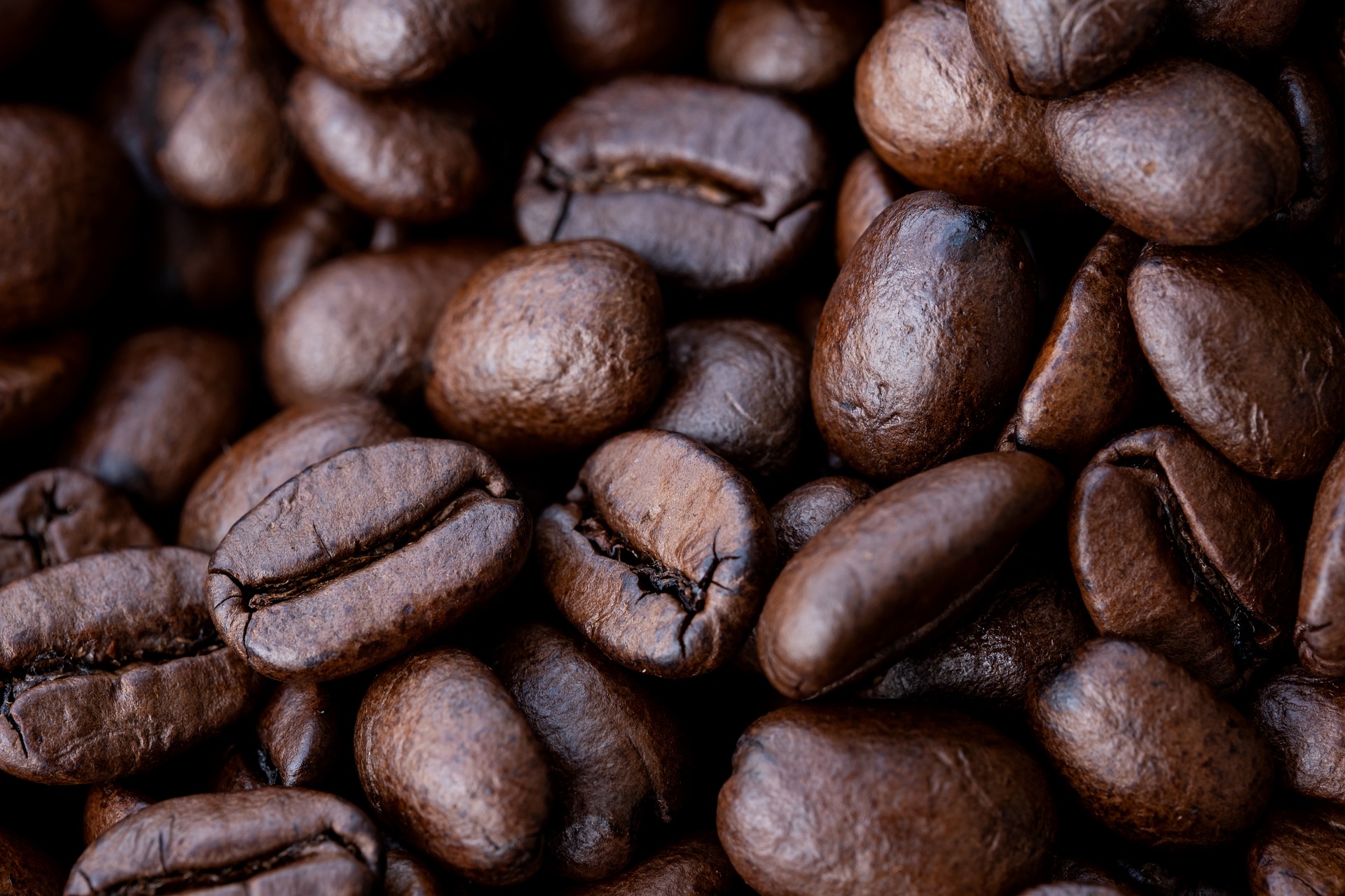 Semana Internacional do Café Mostra como a Indústria pode ser mais Inclusiva na Prática