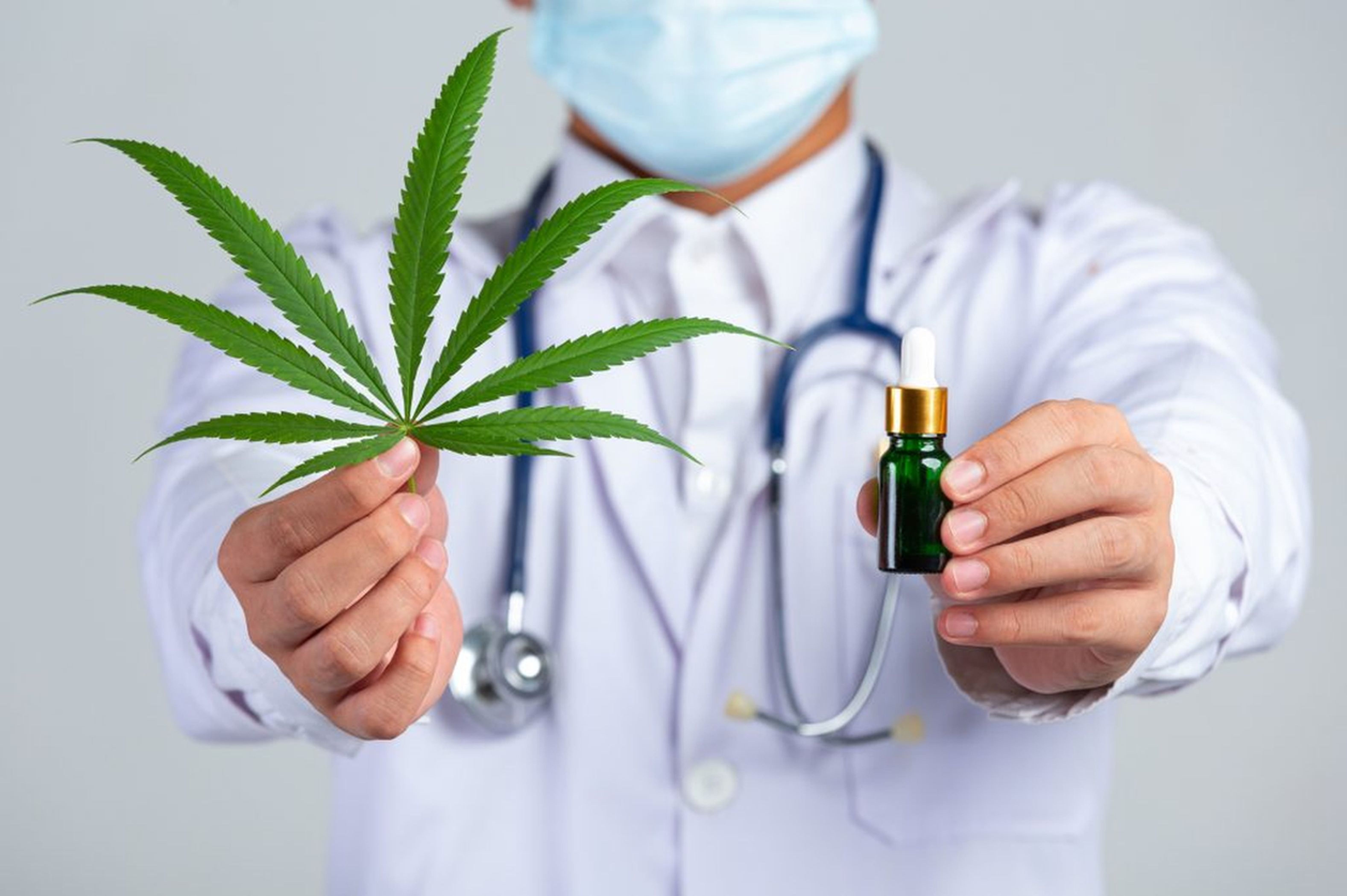 Quem Pode Prescrever Cannabis Medicinal?