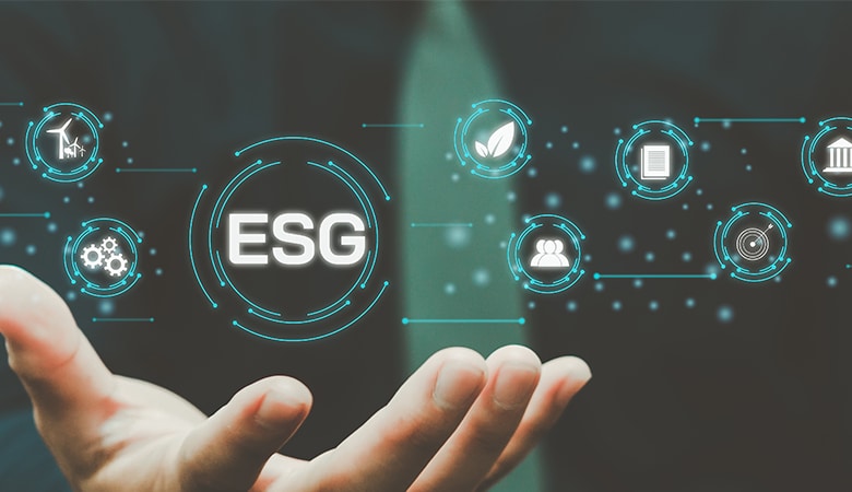 A Colaboração do Profissional do ESG e da Sustentabilidade