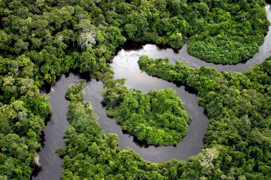 Greener: Uma Solução Inovadora para Preservação da Floresta Amazônica