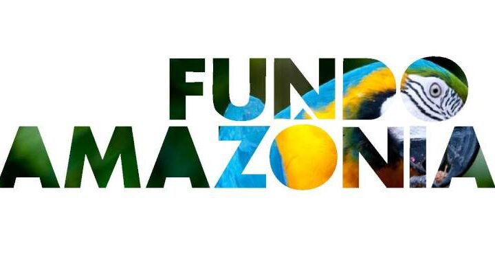 Fundo Amazônia Atualiza Diretrizes e Critérios Para Aplicação de Recursos no Biênio 2023-2025