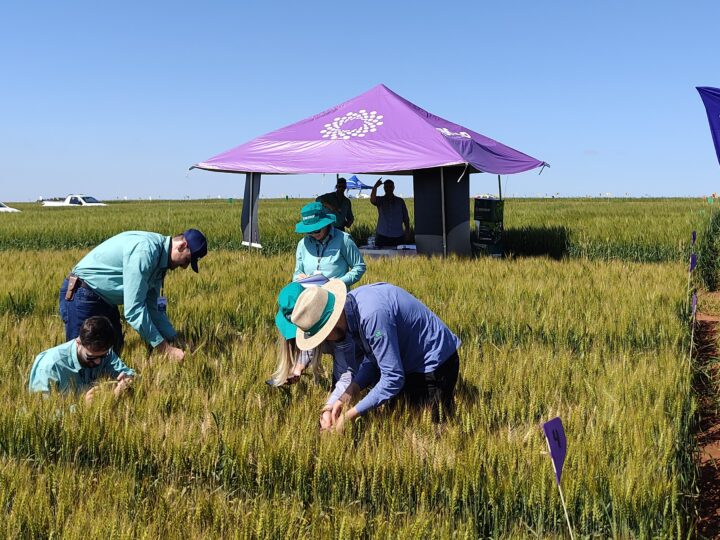 Crescimento dos Produtos Biológicos Impulsiona Mercado de Trabalho com Foco em Soluções Naturais 