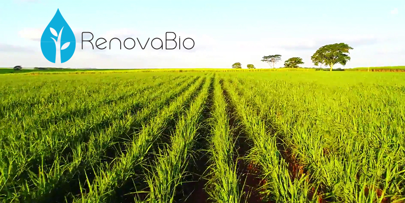 A Hipocrisia que Permeia a Sustentabilidade no Brasil: Um Olhar Sobre o RenovaBio