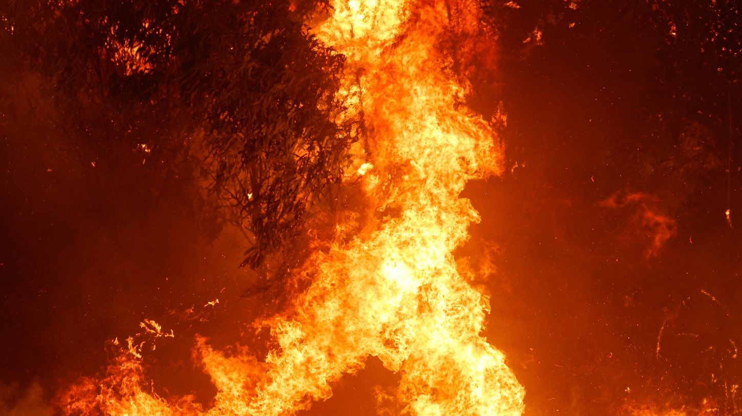 Dia da Proteção às Florestas: O que Está por Trás dos Incêndios no Pantanal?