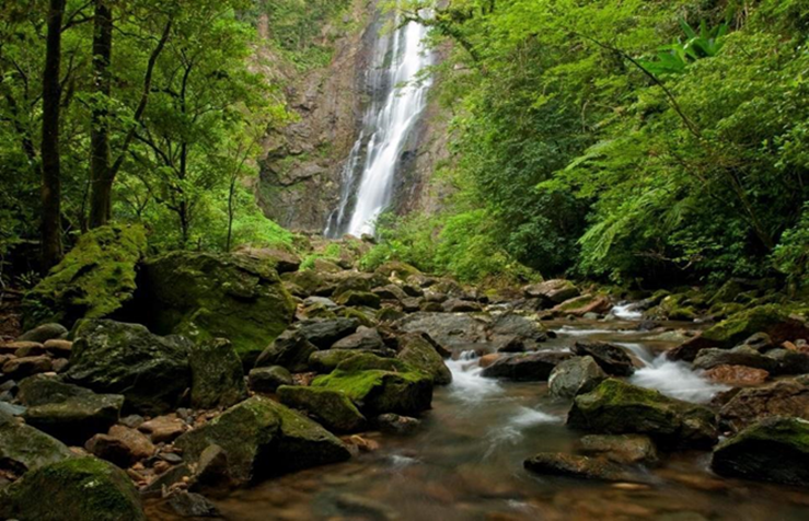 Férias Sustentáveis: Reserva Natural Salto Morato é Opção de Lazer no Litoral do Paraná