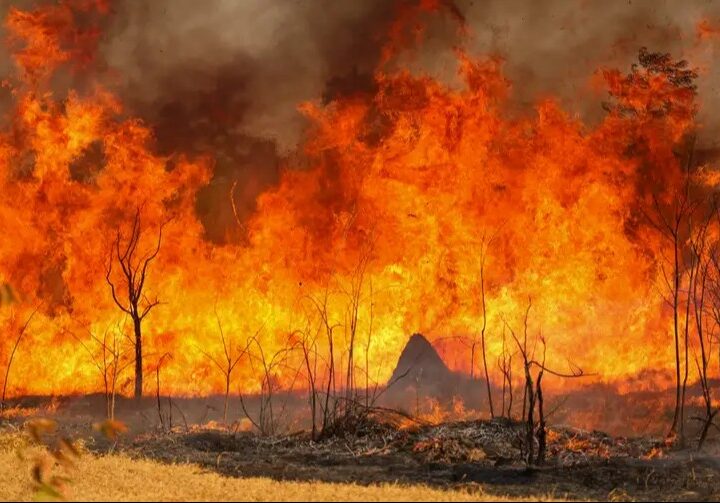 Queimadas na Amazônia Sufocam Metas do Acordo de Paris 