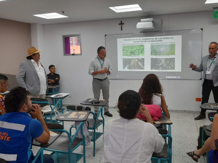 COP 16: Fundação Amazônia Sustentável Apresenta a Importância da Criação do Parque Estadual Ambiental das Árvores Gigantes na Amazônia