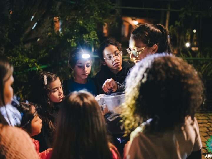 Camping x Acampamento Educativo: Nomes Parecidos, Propostas Diferentes!