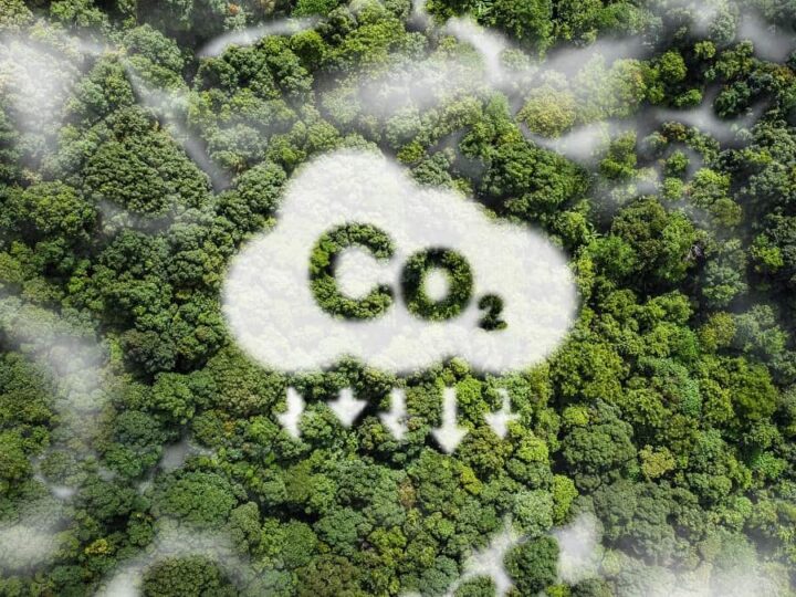 O Futuro do Comércio de Carbono no Brasil