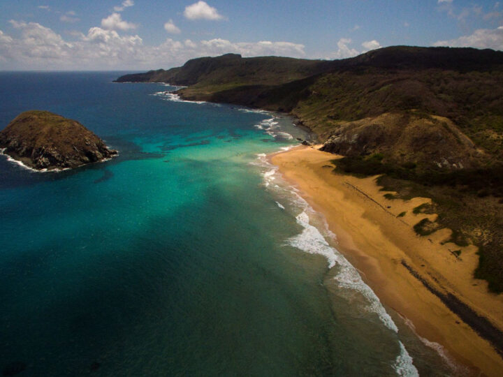 Inovações Tecnológicas Contribuem para a Conservação da Natureza no Brasil