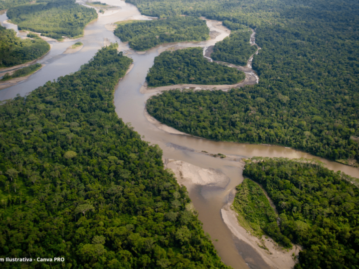 Pesquisadores Encontram Agrotóxicos em Águas Ribeirinhas da Amazônia