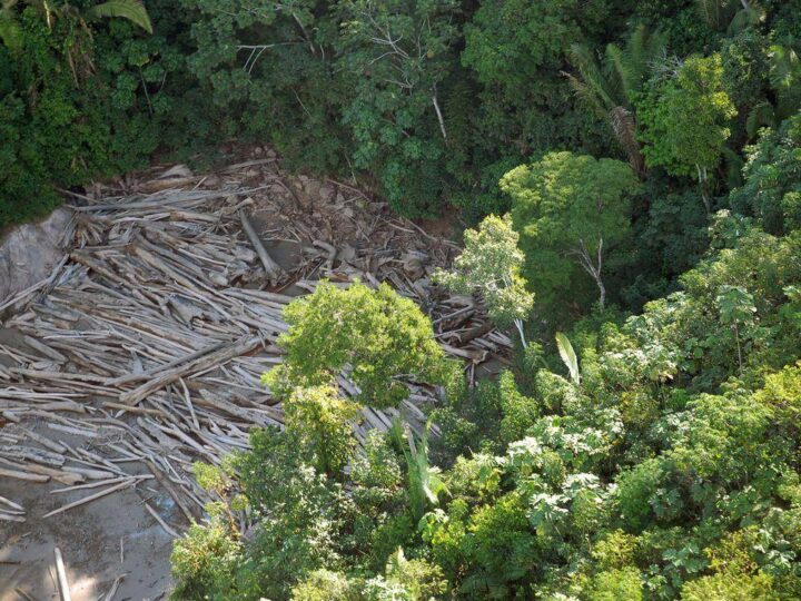 Em Duas Décadas, Desmatamento na Amazônia Aumenta e Reduz as Chuvas, Afirma Estudo