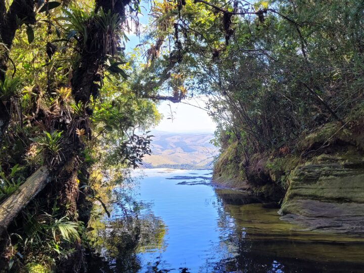 Semana do Meio Ambiente Tem Programação Especial em Quatro Parques Naturais Brasileiros