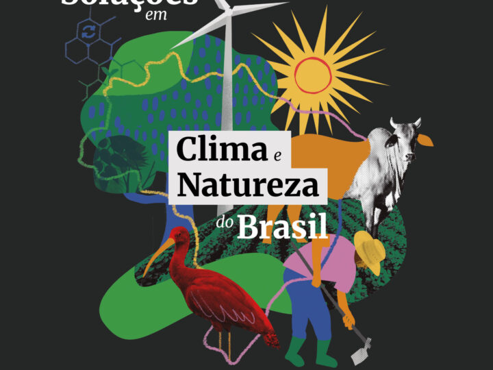 Instituto Arapyaú e Instituto Itaúsa Lançam Relatório com Soluções Brasileiras Para as Crises do Clima e da Natureza