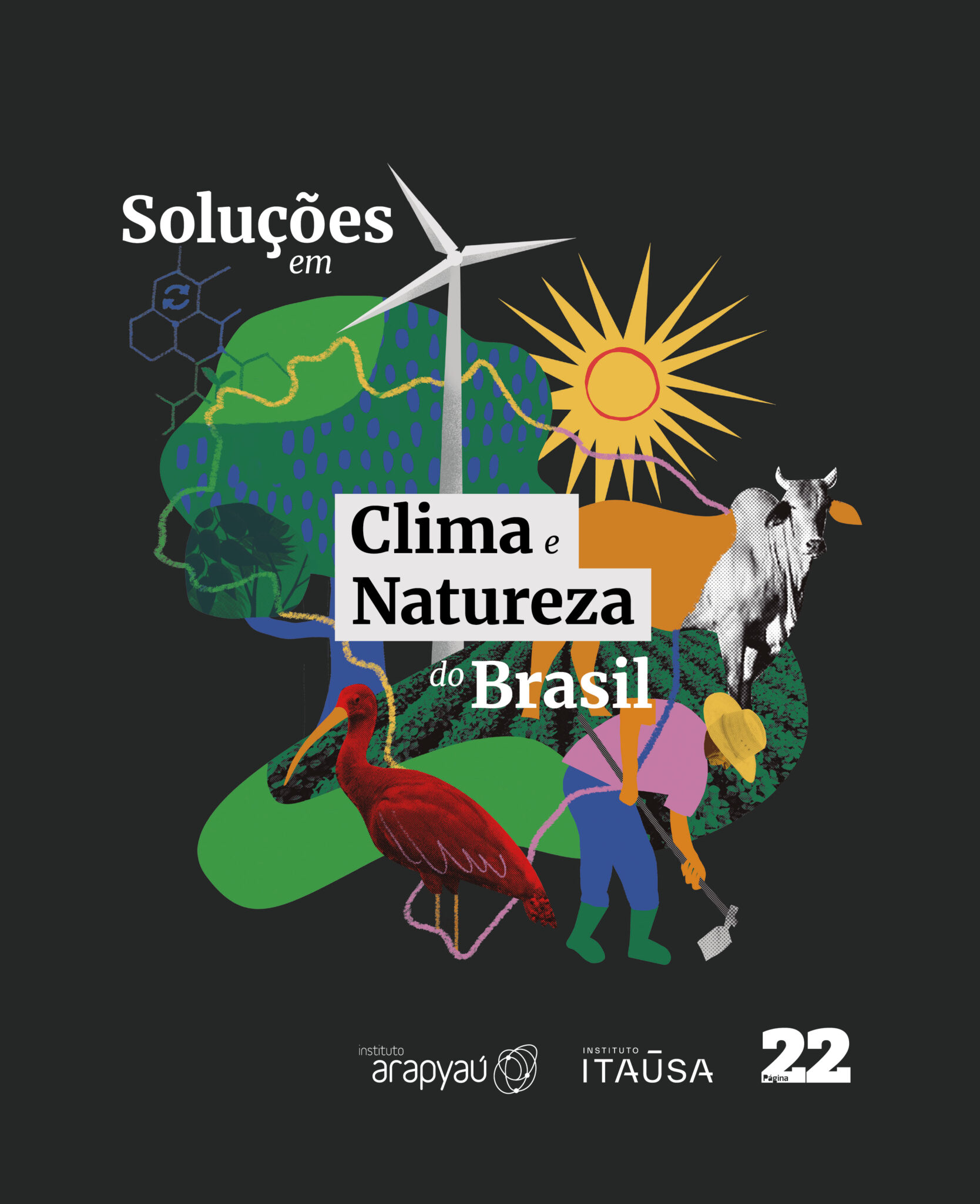 Instituto Arapyaú e Instituto Itaúsa Lançam Relatório com Soluções Brasileiras Para as Crises do Clima e da Natureza