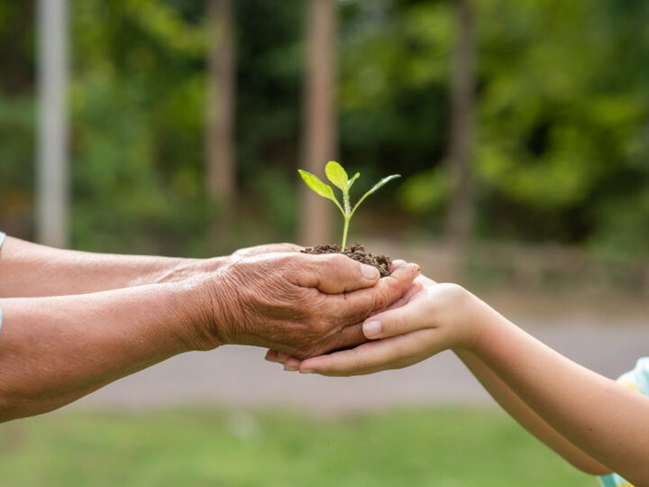 Educação Ambiental é Força Motora para Desenvolver Mudanças na Prática!