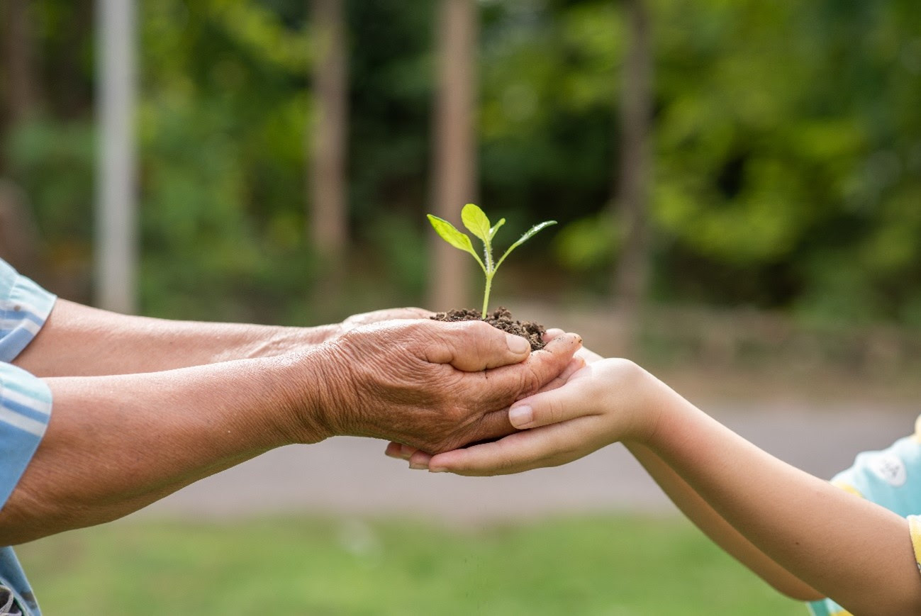 Educação Ambiental é Força Motora para Desenvolver Mudanças na Prática!