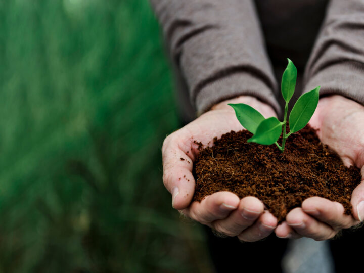 Conheça 6 Práticas Pedagógicas para Engajar os Estudantes na Proteção ao Meio Ambiente