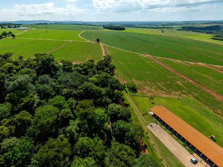 Evento em Santa Rita do Passa Quatro Destaca Práticas Sustentáveis na Integração Lavoura-Pecuária 