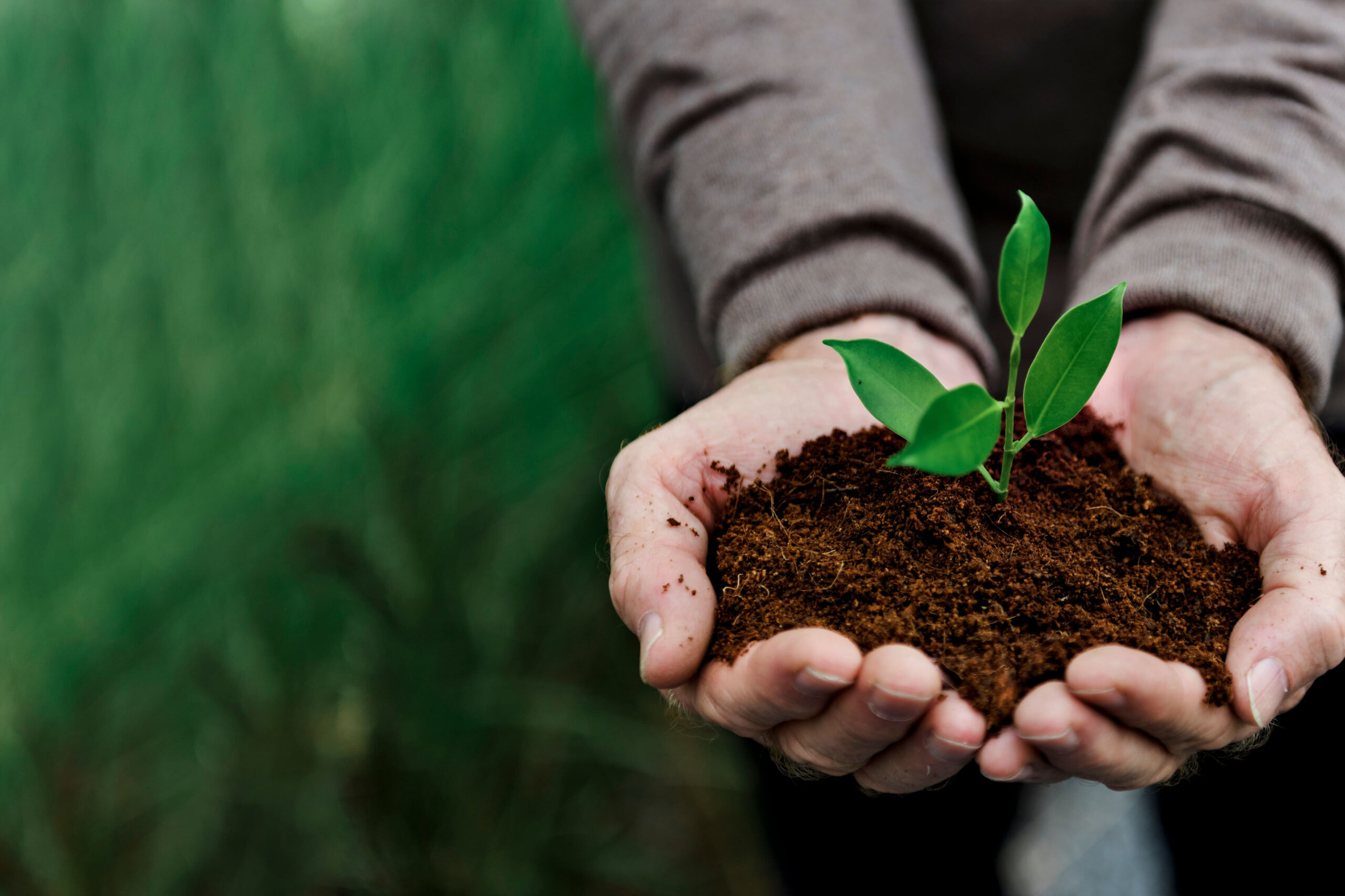 Conheça 6 Práticas Pedagógicas para Engajar os Estudantes na Proteção ao Meio Ambiente