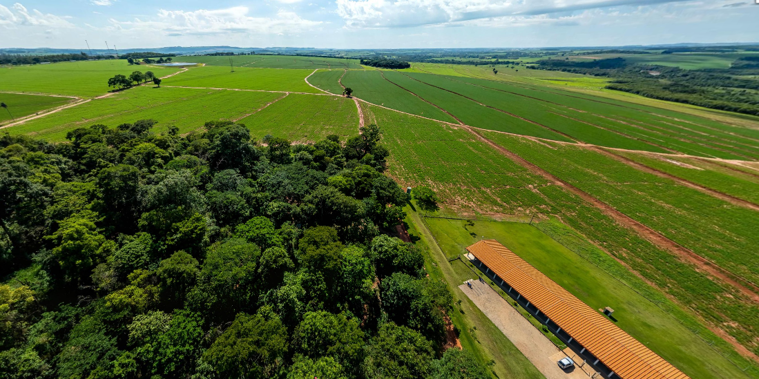 Evento em Santa Rita do Passa Quatro Destaca Práticas Sustentáveis na Integração Lavoura-Pecuária 