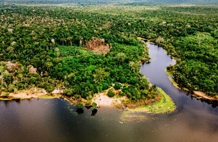 Turismo Regenerativo: Você Sabe O Que É?