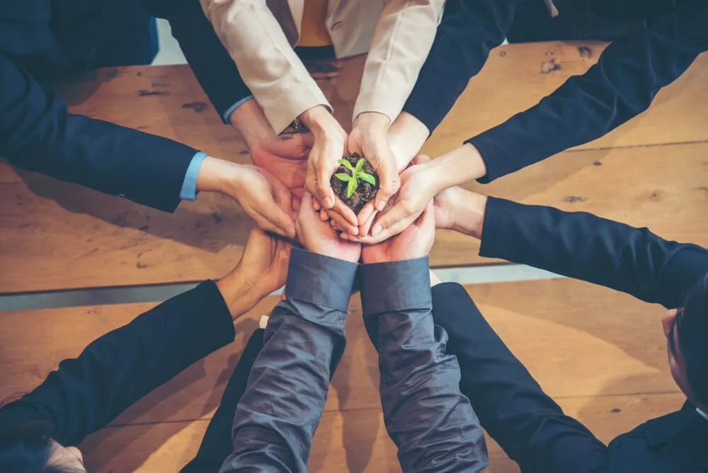 Conexão Pessoal com a Natureza Estimula Negócios e Projetos Sustentáveis