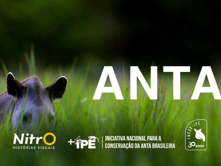 O Maior e Mais Misterioso Mamífero da América do Sul Vai Ganhar Um Filme para as Telonas de Todo Brasil