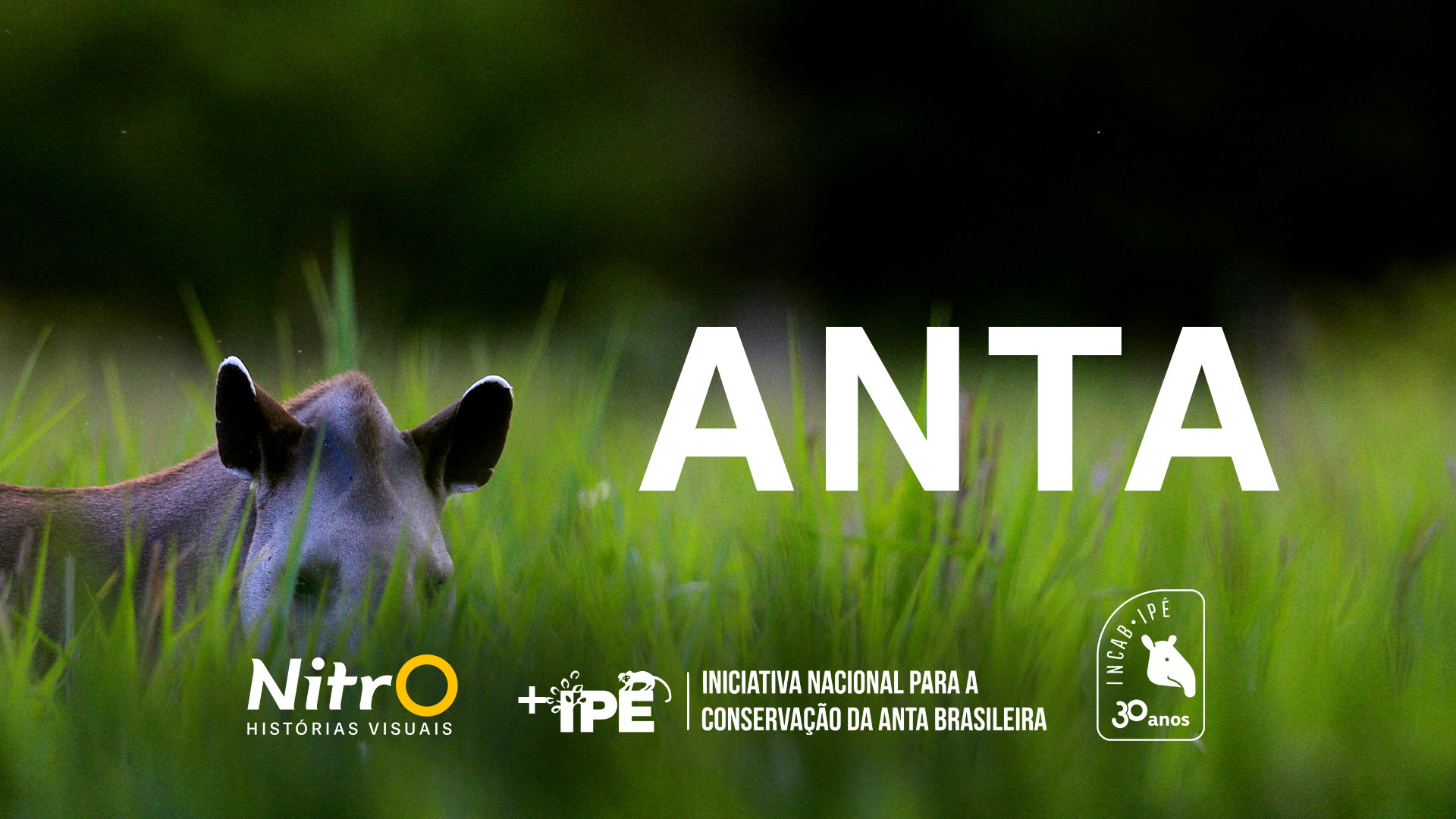 O Maior e Mais Misterioso Mamífero da América do Sul Vai Ganhar Um Filme para as Telonas de Todo Brasil