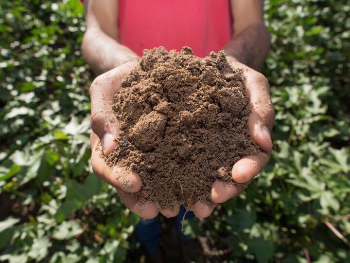 A Busca Pela Estabilidade Climática Começa no Solo