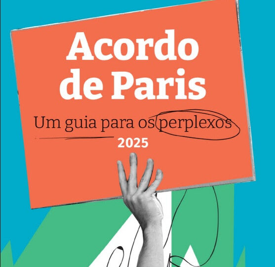 COP 30 no Brasil: Guia explica o Acordo de Paris e Seus Desafios!