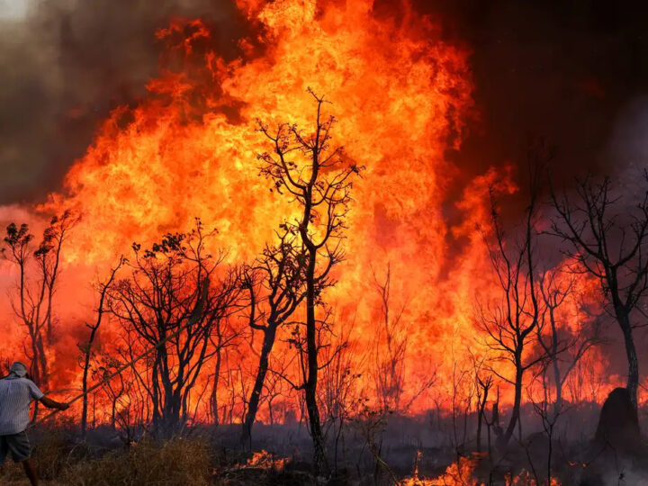 Fundação Grupo Boticário Destina R$ 600 mil Para Ações Emergenciais no Cerrado e Pantanal