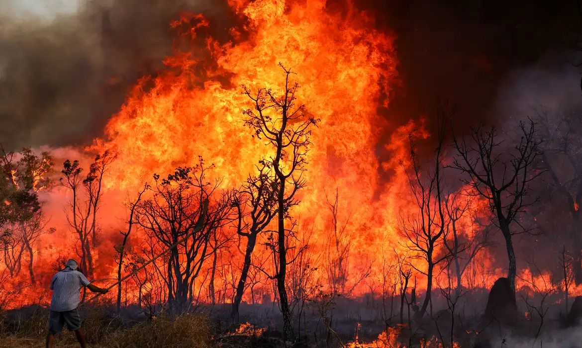 Fundação Grupo Boticário Destina R$ 600 mil Para Ações Emergenciais no Cerrado e Pantanal