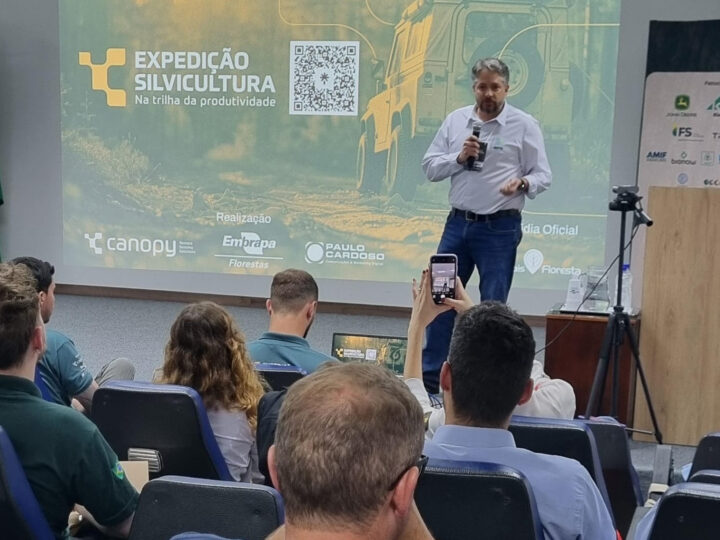 Paraná Avança 24% no Faturamento da Produção Florestal e Mantém a Segunda Melhor Posição no Brasil