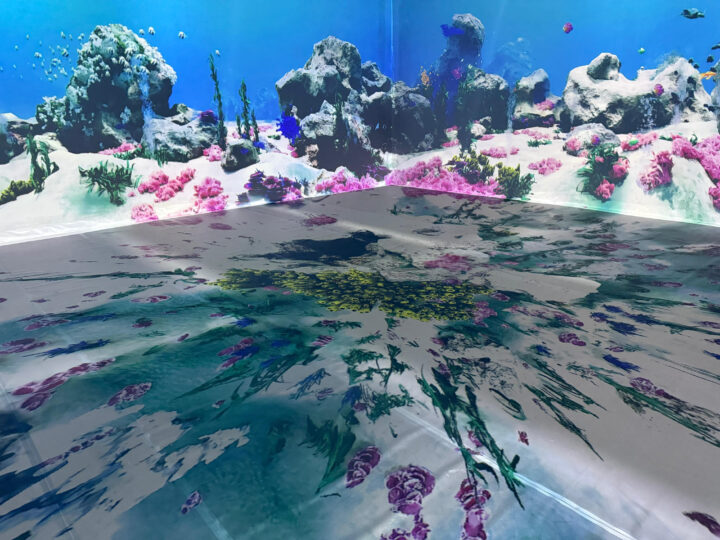 Projeção Digital Leva a um Mergulho no Fundo do Mar com Peixes, Tubarões e Baleias
