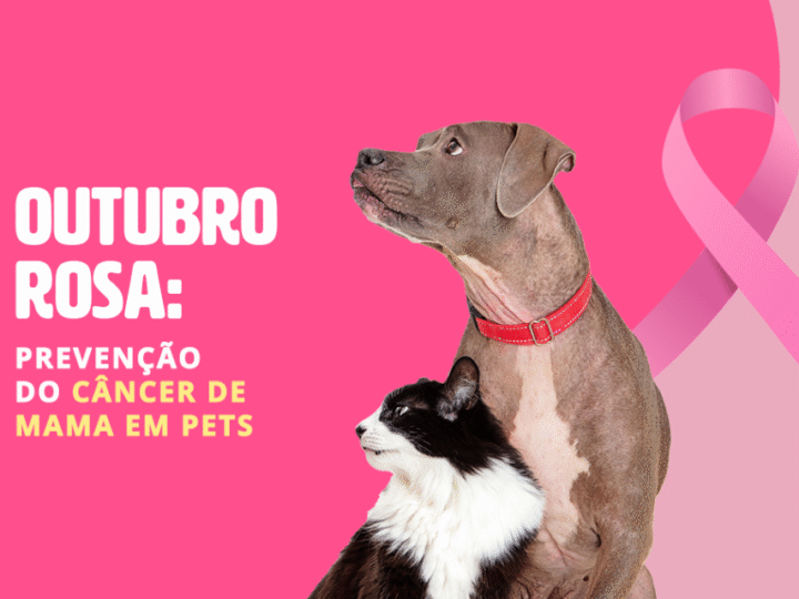 Outubro Rosa: 05 Mitos Sobre Câncer em Pets