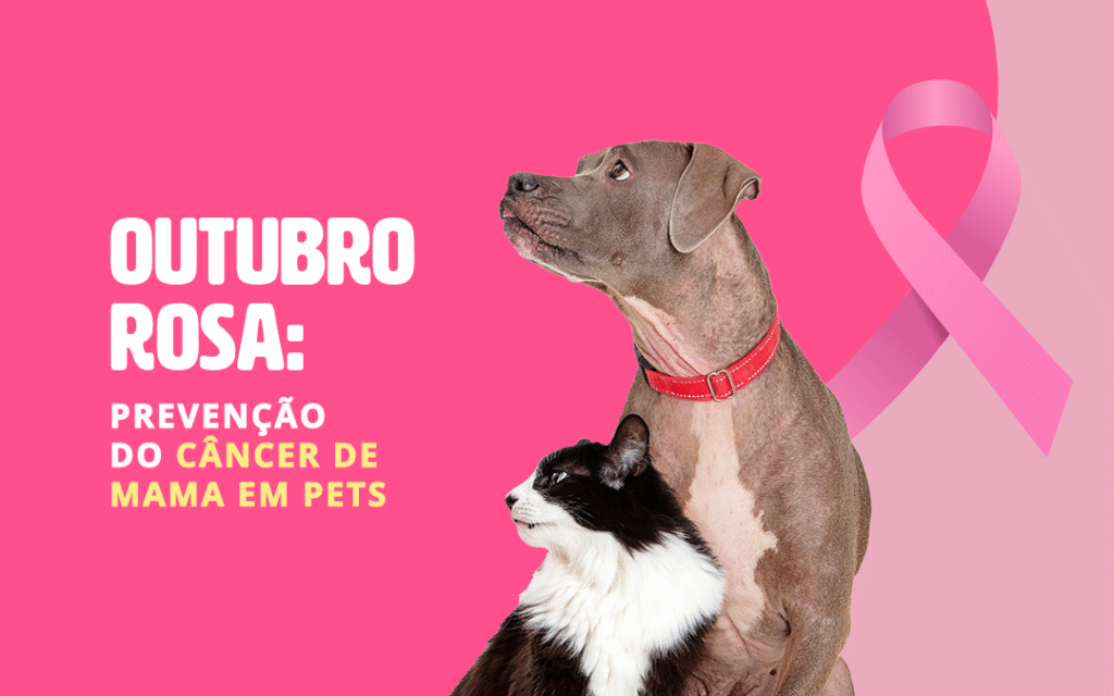 Outubro Rosa: 05 Mitos Sobre Câncer em Pets