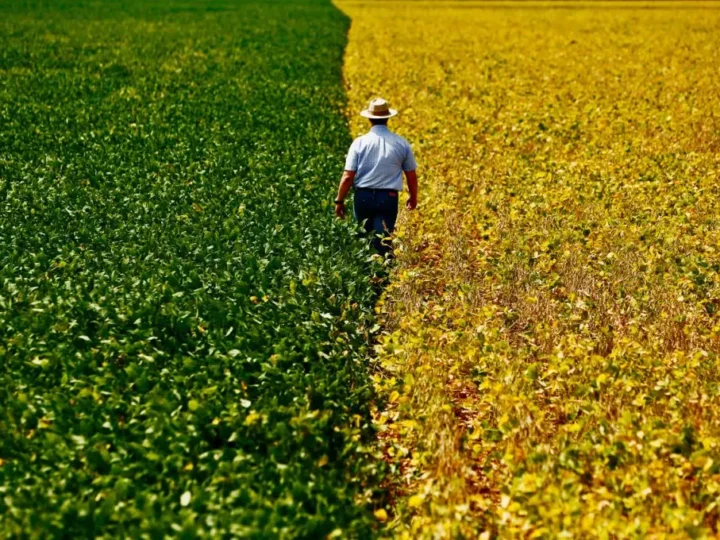 Como a IA Está Transformando o Brasil no Celeiro Inteligente do Mundo