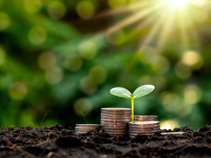 COP30 Coloca Brasil no Centro da Nova Economia Verde